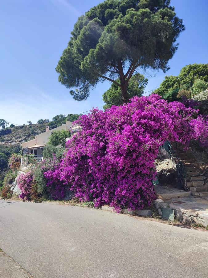 La Vallicella Farinole Esterno foto
