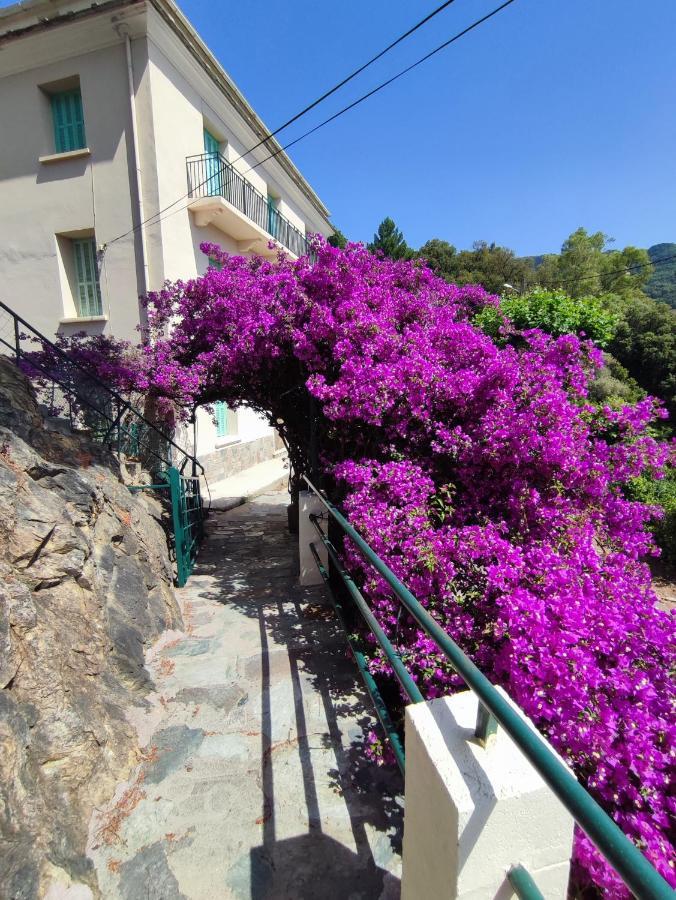 La Vallicella Farinole Esterno foto